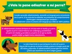 Entrenar a tu perro puede ser costos y a veces peligroso si el adiestrador no está certificado. Sin embargo, educar a tu cachorro es tan beneficioso e importante como vacunarlo.