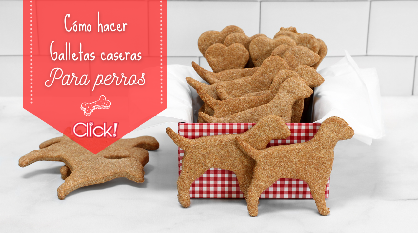 como hacer galletas caseras para perros titulo mejor calidad foto