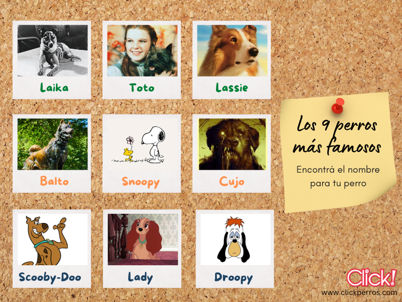 9 perros famosos, nombres de perros famosos