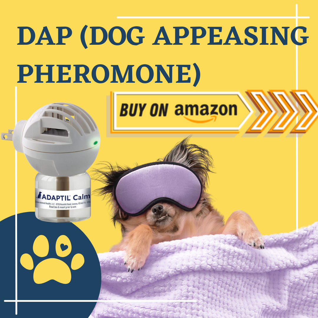 DAP feromona calmante para perros