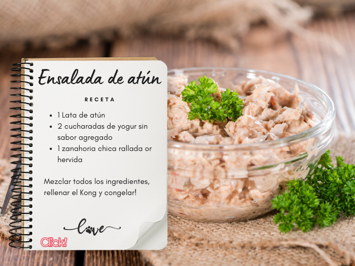 ensalada atun receta kong, como se usa el kong para perros, como congelar el kong perros