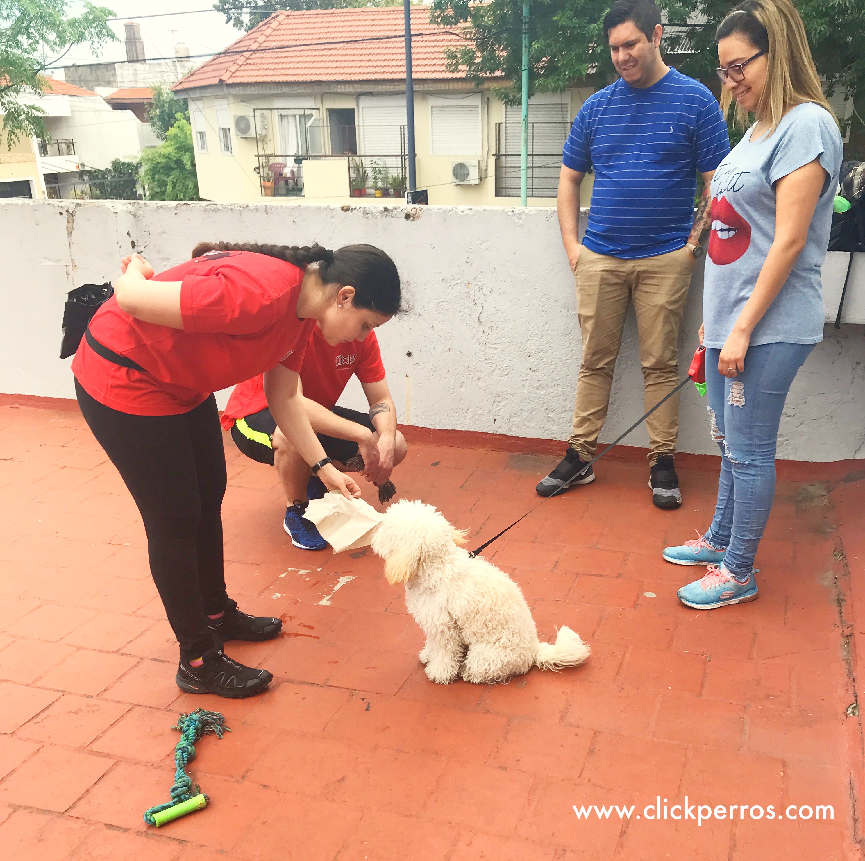 adiestrador canino mendoza