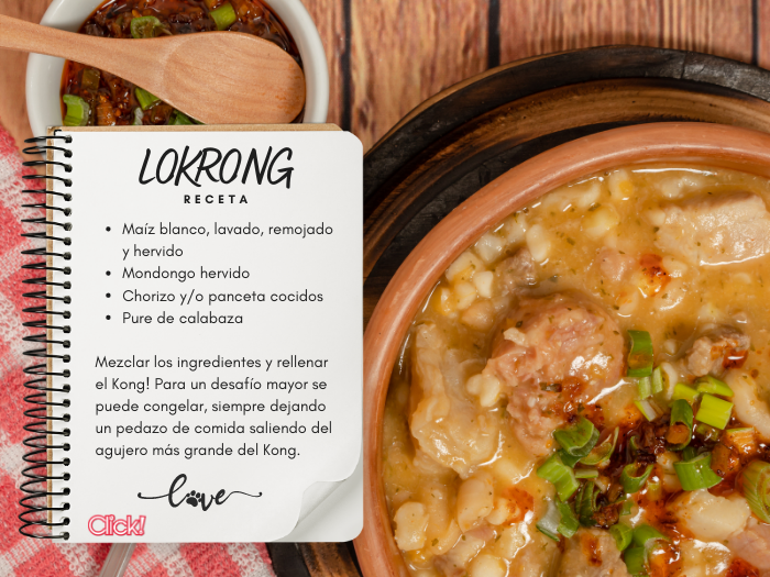 receta lokrong, como rellenar el kong, ideas para rellenar el kong