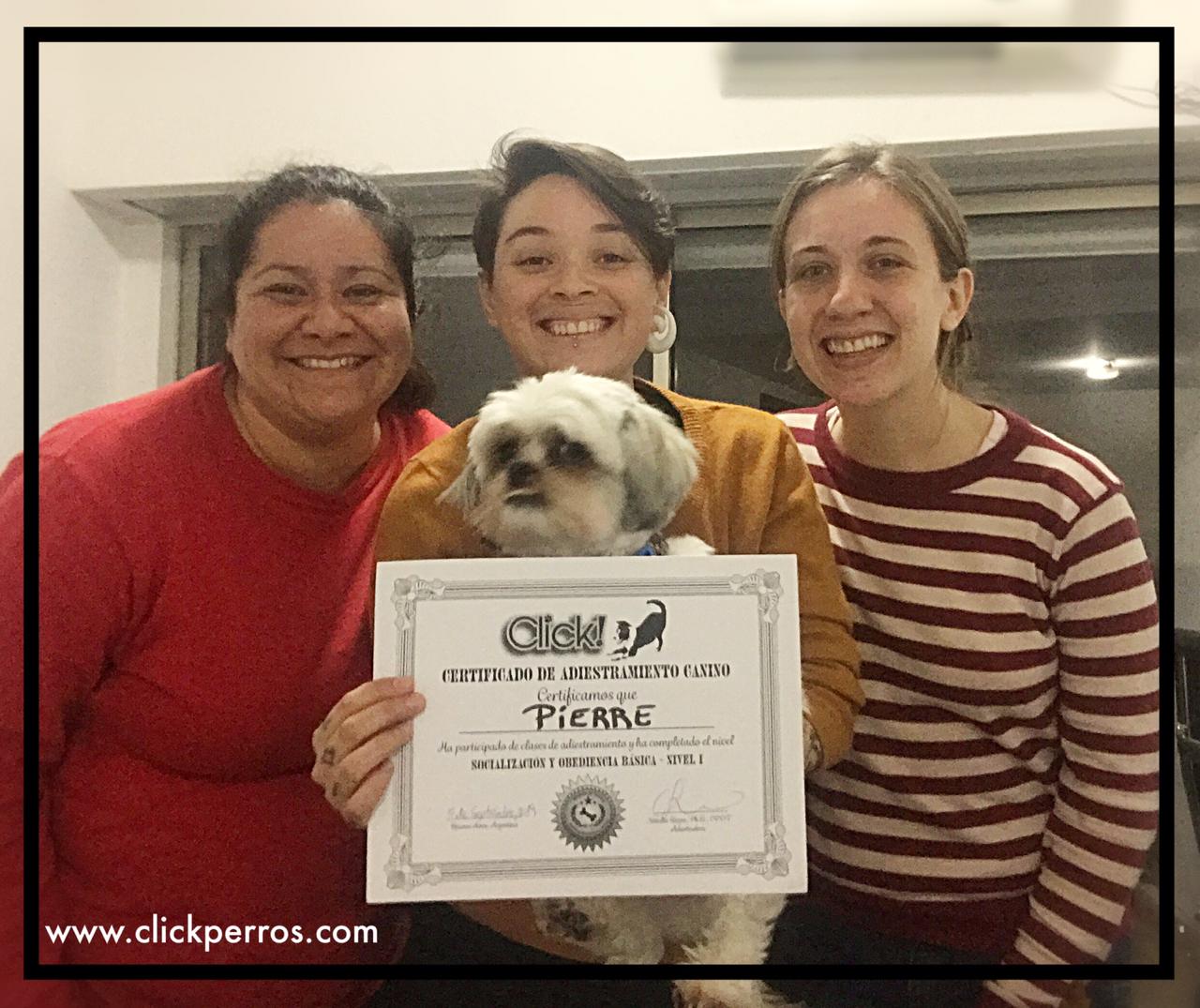 adiestramiento canino, adiestrador de perros, mendoza, argentina