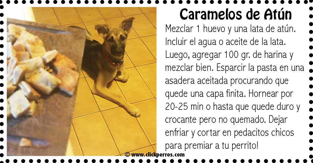 Premios para perros caseros: 3 recetas fáciles y deliciosas