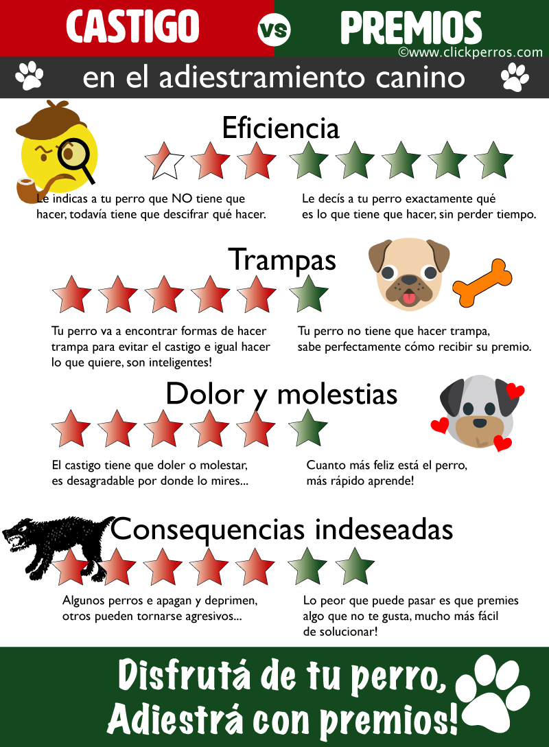 como hacer para que el perro obedezca