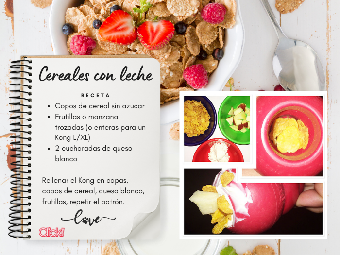 cereales con leche receta kong, que puedo meter en el kong, ideas para rellenar el juguete kong perros