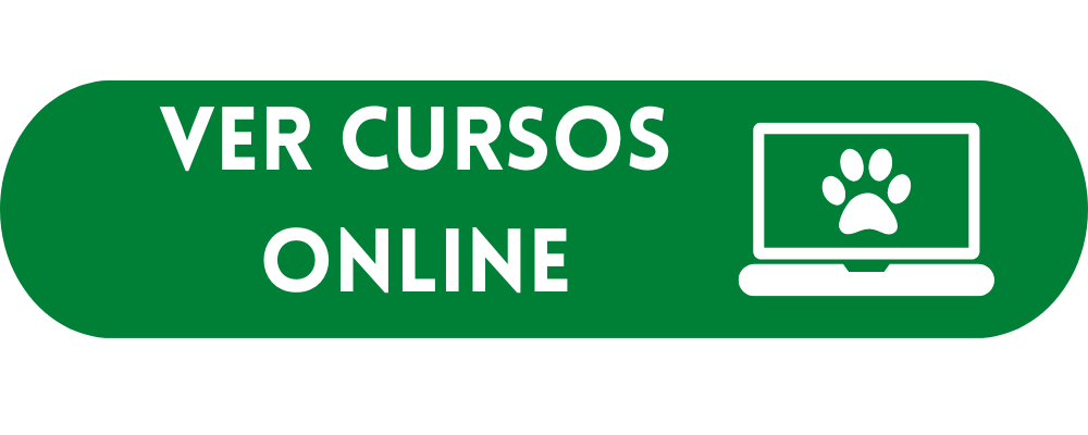 ver cursos online button boton verde