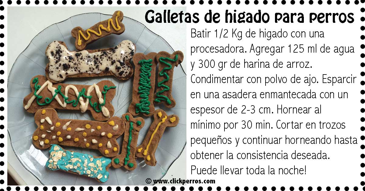 El higado para perros es sano y saludable siempre y cuando se de en cantidades recomendables. Estas 5 recetas caseras para perros haran que tu mascota te quiera todavía más!