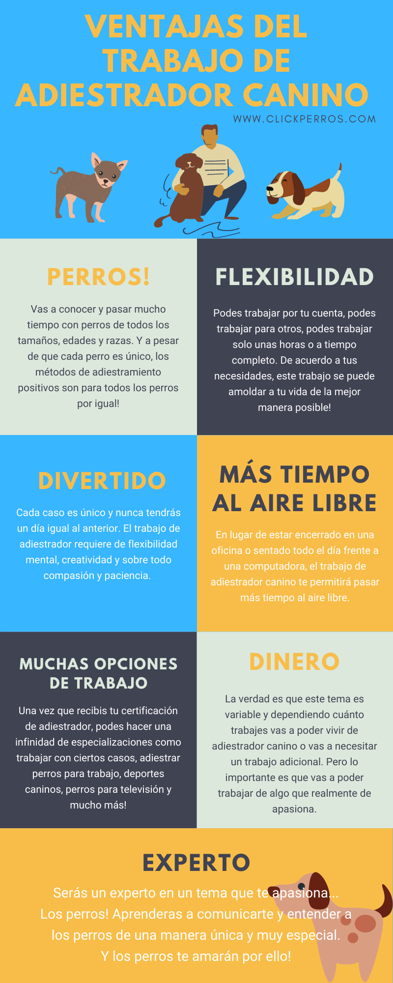 ventajas de ser adiestrador canino infographic