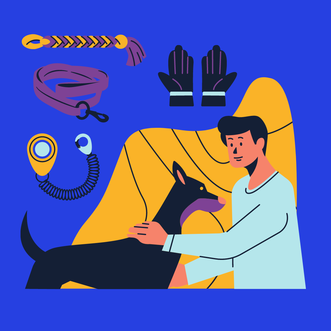 Trabaja como adiestrador canino, como ser adiestrador canino