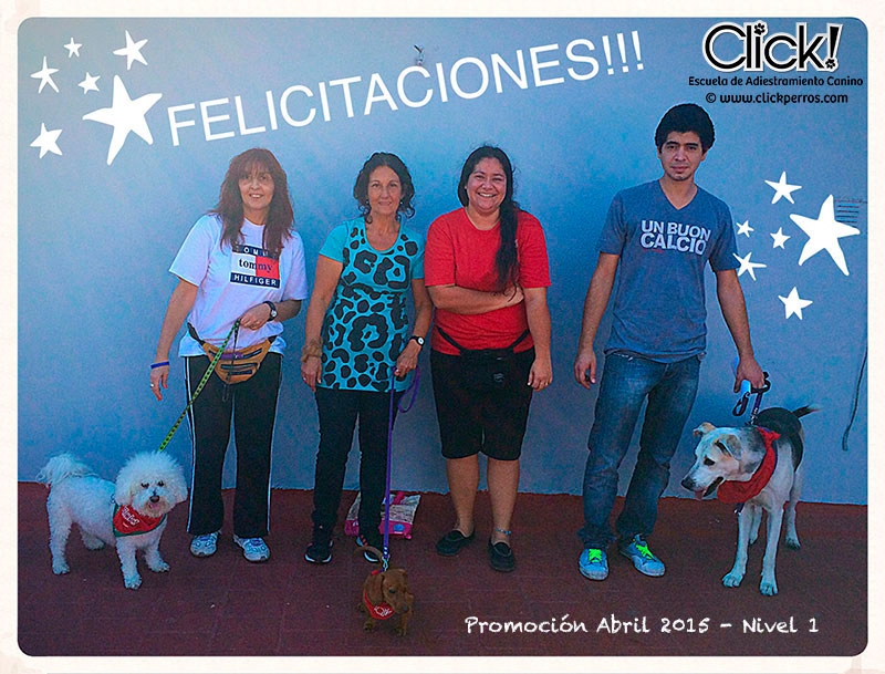 clases de adiestramiento canino