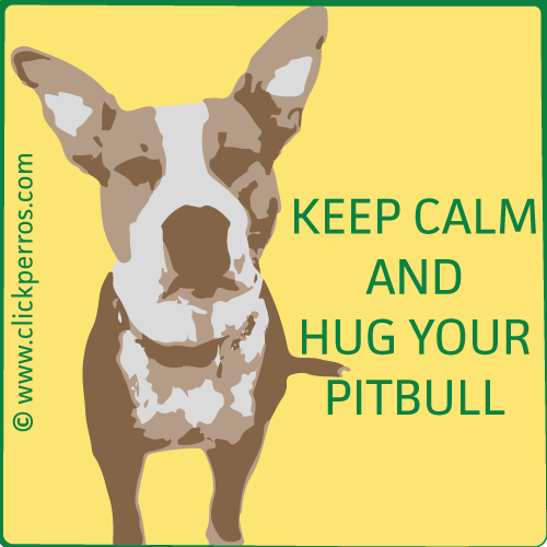 Nombre de perros pitbull, macho, hembra, keep calm