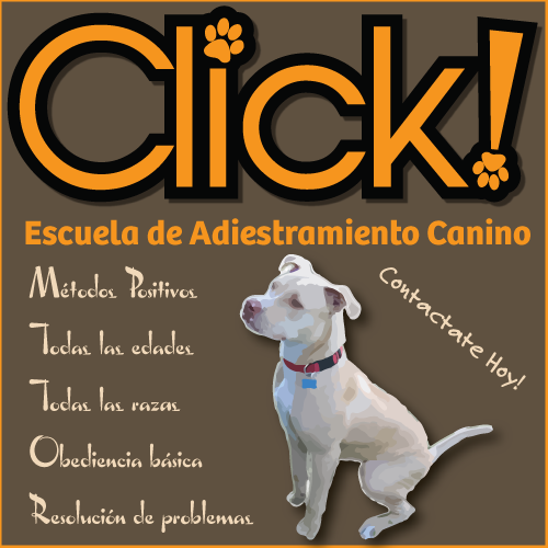 adiestramiento para perros pitbull, escuela canina para perros pitbull, educar a mi perro pitbull