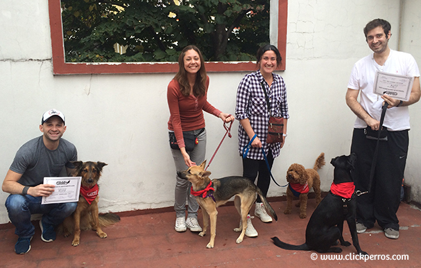 Curso de adiestrador de perros, certificación de Adiestrador Canino Profesional con métodos positivos y humanizados. 