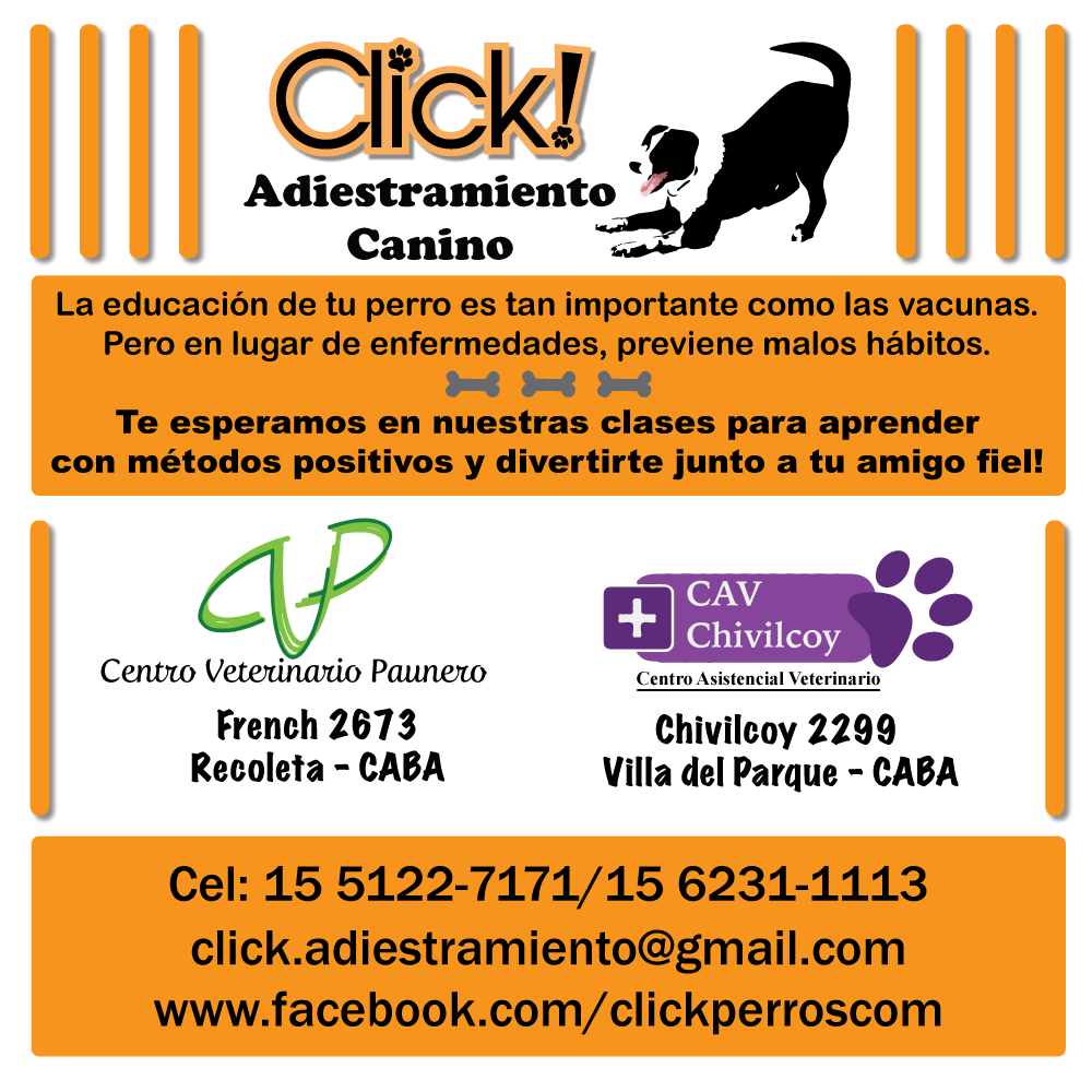 Adiestramiento canino capital federal CABA