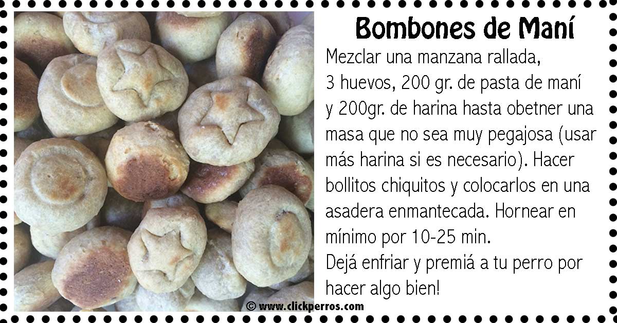 premios para perros caseros, bombones de mani para perros