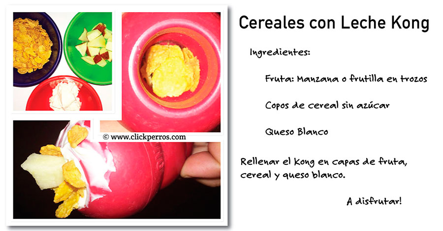 Recetas Kong perros cereales con leche