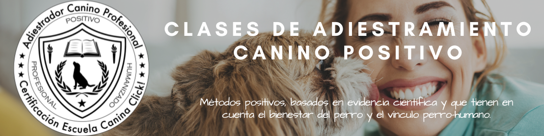 clases de adiestramiento para perros a domicilio caba gran buenos aires argentina