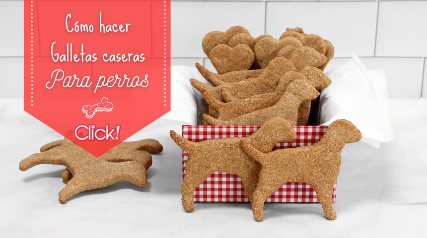 Si te estas preguntando como hacer galletas para perros caseras, te enseñamos con una receta como crear 1001 galletas diferentes para tu perro...