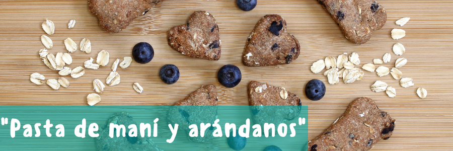 receta de galletas para perros con arandanos y pasta de mani