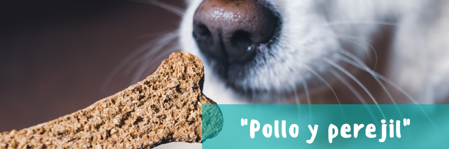 Galletas caseras para perros receta de pollo y perejil