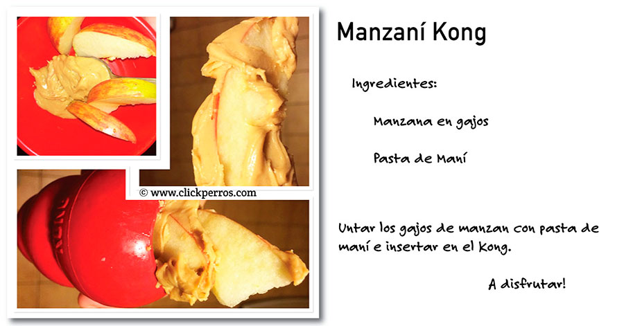 Recetas para el juguete kong para perros