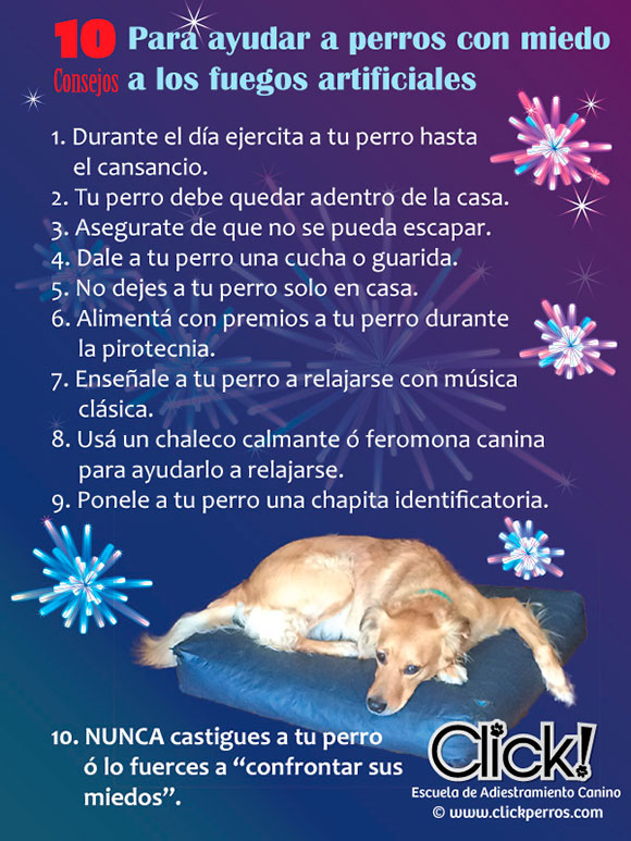 como calmar a un perro asustado por la pirotecnia, como calmar a un perro con miedo a los fuegos artificiales