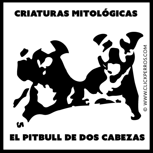 Nombres para perros pitbull, macho, hembra, mitologico