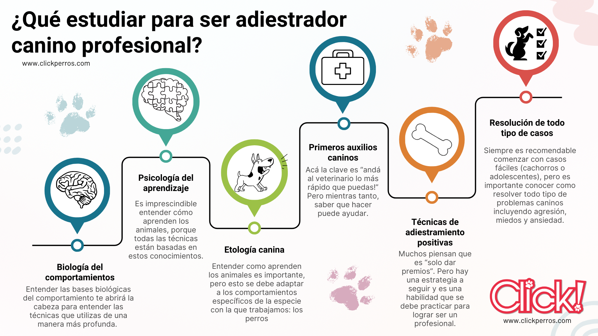 que estudiar para ser adiestrador canino profesional, donde estudiar para ser entrenador de perros, online