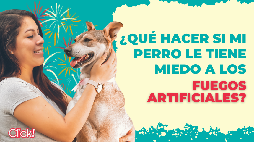 que hacer si mi perro le tiene miedo a los fuegos artificiales