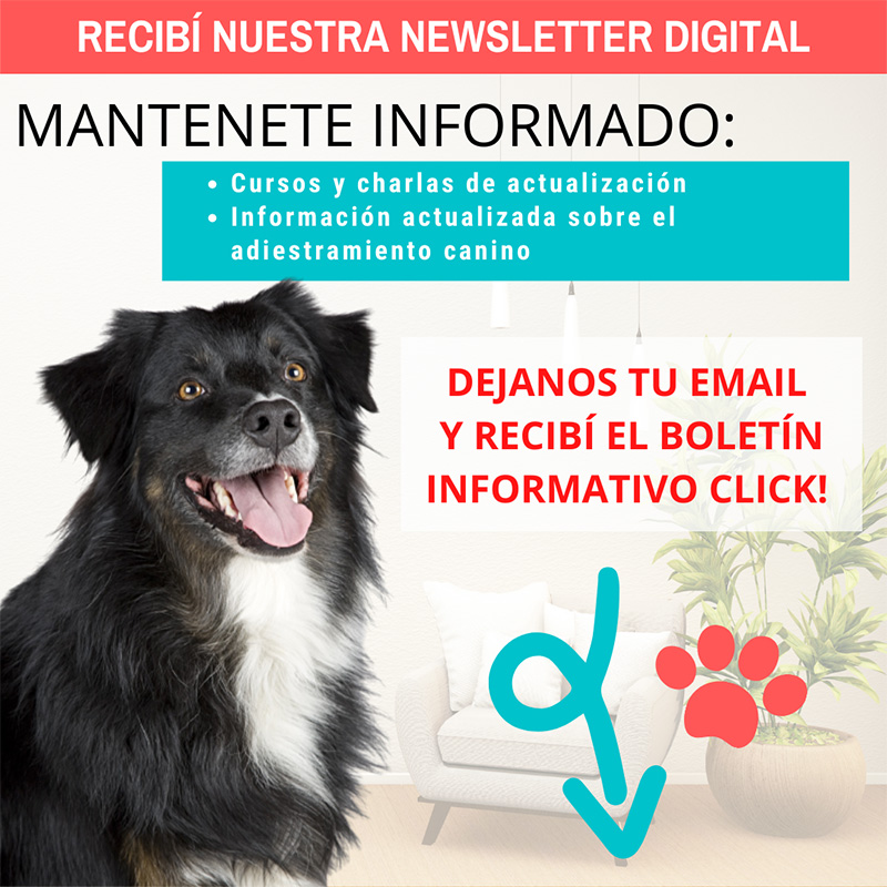 recibi newsletter boletin informativo