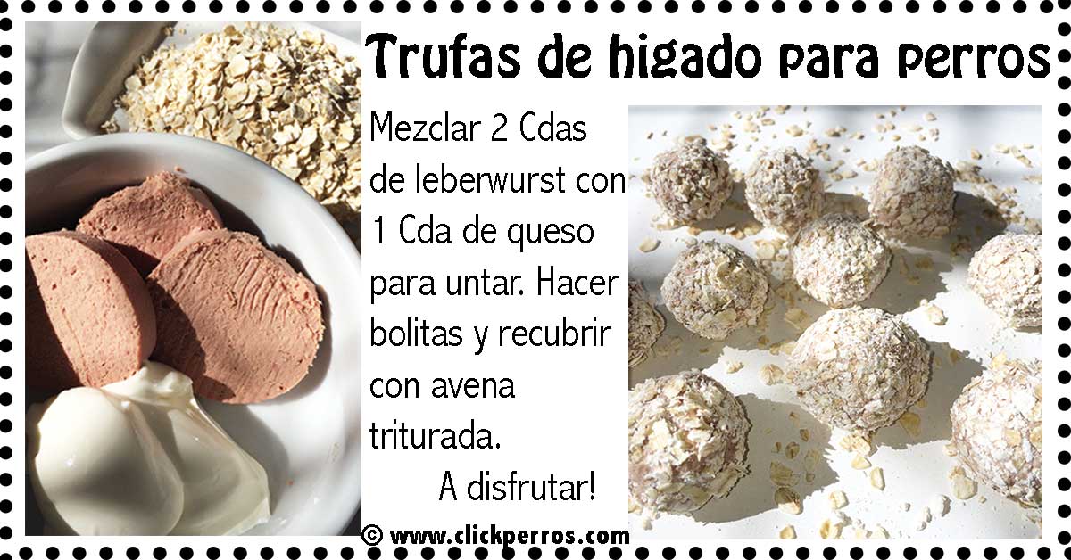 recetas para perros caseras, higado para perros, leberwurst para perros, trufas para perros