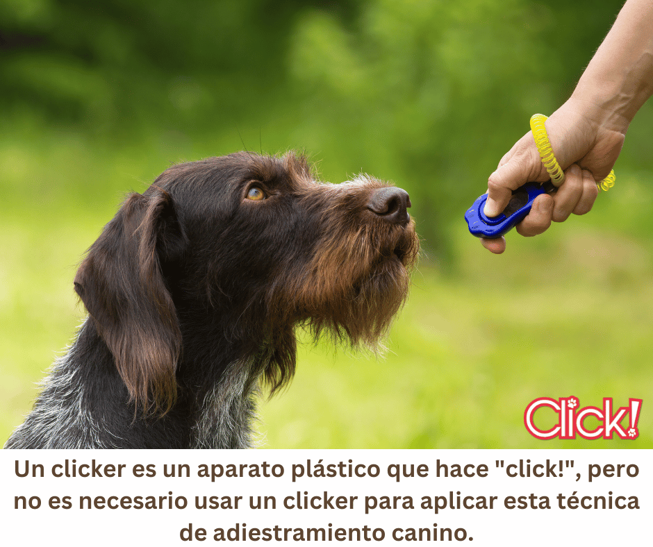 un clicker es foto 