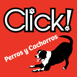 Descubrí los 11 mejores juguetes para perros creados para saciar al cachorro más energético y al perro más destructivo. Juguetes interactivos, dispensadores de comida y mucho más. 